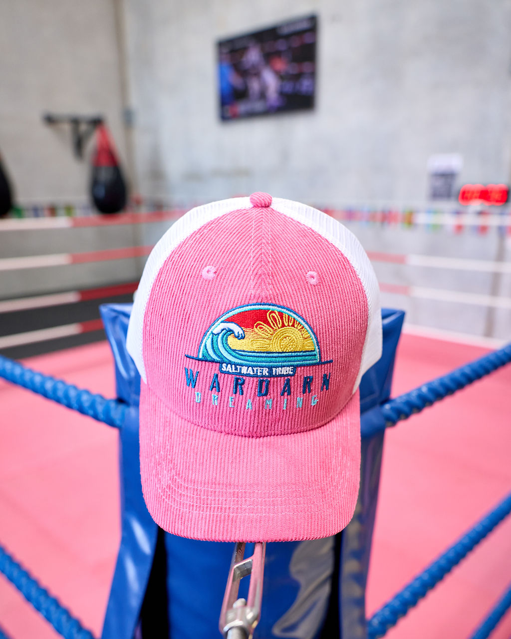 Trucker Hat - Mesh - Blue, Black & Pink